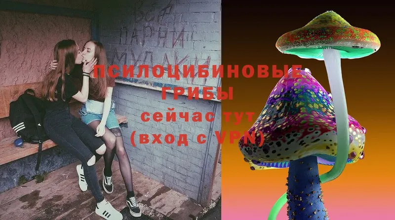 Псилоцибиновые грибы MAGIC MUSHROOMS  Лениногорск 